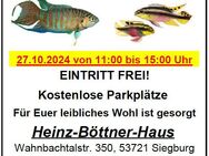 Aquarienbörse in Siegburg am 27.10.2024 - Siegburg