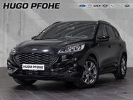 Ford Kuga, ST-Line 150PS v h, Jahr 2023 - Norderstedt