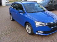 Skoda Fabia Combi Ambition - Waldheim