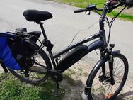 Verkaufe 28er Damen und Herren E Bike - Bad Freienwalde (Oder)