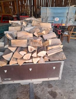 Trockenes Brennholz/Hartholz - Berglen
