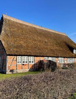 Mecklenburger Landhaus-Charme Eigentumswohnung unter Reet - Thandorf