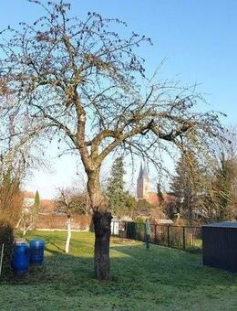 zentral am Dom gelegene 1-Raum-Wohnung - Stendal (Hansestadt)