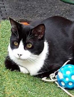 Schatz Biky bei FFM(ALO) - Geisenheim