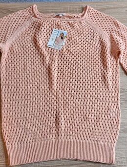 Damen Langarmshirt/Strick, Gr. M 40/42, aprikot, ungetragen, neu - Herten