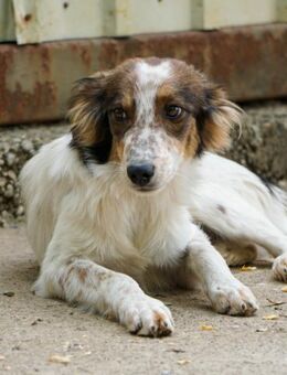 Emil ist bereit seinen Koffer zu packen - Schwabach