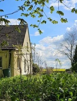 Das ist was für Weitsichtige - Tribsees