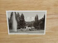 Ansichtskarte-Ak-824-Kochelbergalm bei Garmisch-Partenkirchen. - Nörvenich