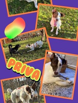 Tolle Priva in München! - Nürnberg