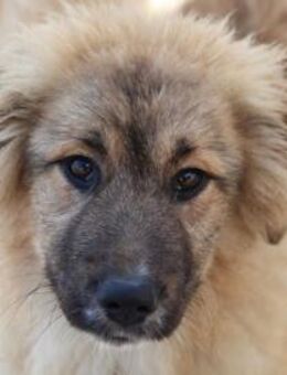 Ist Senna nicht einfach nur süß? - Karben