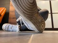 Getragene gut riechende Sneaker Adidas Nike Vans - Offenbach (Main)