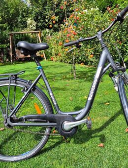 Pegasus Piazza Tiefeinsteiger 28", RH 53, 7-Gang Nexus zur Selbstabholung - Nürnberg