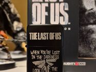 The Last Of Us Sturmfeuerzeug - Lossatal