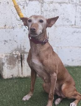 Naty - Geilenkirchen