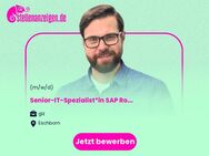 Senior-IT-Spezialist*in SAP Rollen und Berechtigungsmanagement - Eschborn