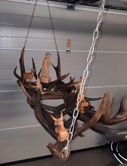 Geweih Abwurfstangen Gestell als Lampe Deko - Obertshausen