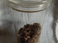 Sehr alter Glas-Tee/Filtereinsatz mit Deckel - Niederfischbach