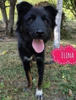 Elina eine Tolle - Flörsheim-Dalsheim