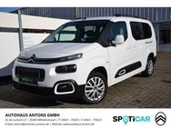 Citroen Berlingo Shine 1.5 BlueHDi 130 FAP EU6d-T BER SHINE XL BH 130S - Wilhelmshaven