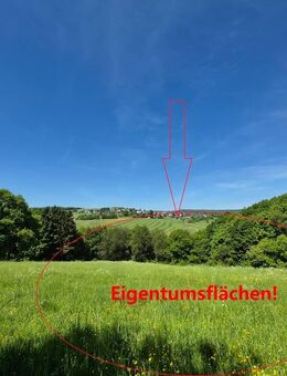 Landwirtschaftliches Anwesen mit ca. 81,5 ha Land und diversen Gebäuden/Optionen - Veitsrodt