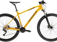 Kross Mountainbike KROSS MTB Hardtail Level 2.0 29" gelb 18 Gänge, 18 Gang Shimano ALIVIO M3100 Schaltwerk, Kettenschaltung