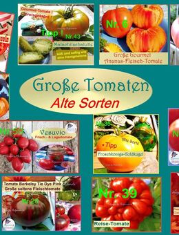 ♥ BIO Große Lieblings-Tomaten,Samen Alte Sorten,samenfest Tulpenstolz,Geschmackshelden ! Köstliche Raritäten,Garten,Gemüse - Hamburg