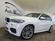 BMW X5 i M-Sport Head-Up Soft-Close H/K AHK - Garrel