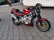 Yamaha trx 850 (Umbau) - Forchheim Zentrum