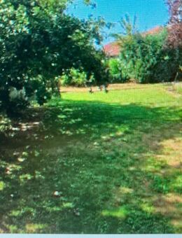 Geräumiges Einfamilienhaus mit Garage und Garten in Leimersheim zu verkaufen - Leimersheim