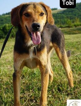 Tobi Ready to Rock! - Kissing