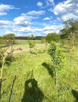 - Spreenhagen/ Einfamilienhaus mit Keller u.Garage + sep.Bauland (Eigentümerwohnrecht erwünscht)- - Spreenhagen