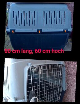 Hunde Transportbox - Zarrentin (Schaalsee)