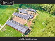 Reitanlage bei Villingen-Schwenningen mit lukrativer PV-Anlage, zwei Reithallen in traumhafter Lage! - Villingen-Schwenningen
