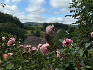 Raumwunder: gemütliches Haus mit 4 Zimmern und idyllischem Ausblick - Reichelsheim (Odenwald)