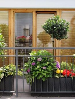 3 Zimmer - Wohnung mit Dachterrasse - Neuss