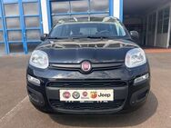 Fiat Panda EASY 1.2 69PS KLIMA RADIO SERVO - Kirn