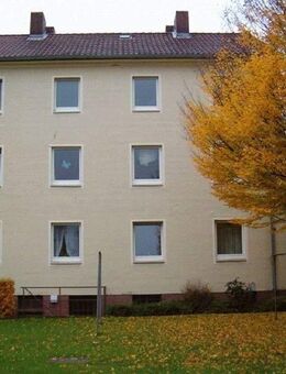 Singlewohnung gesucht? Gefunden! - Minden (Nordrhein-Westfalen)