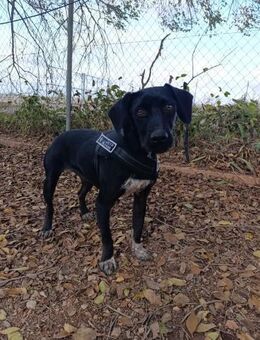 Vita - Geilenkirchen