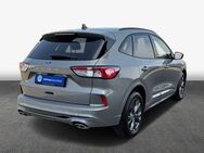 Ford Kuga 2.0 EcoBlue Aut. ST-LINE X - Hildesheim