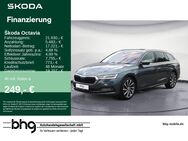 Skoda Octavia, 1.5 TSI Combi FirstEdition PanoDach CANTONsound connect Sunse, Jahr 2020 - Kehl