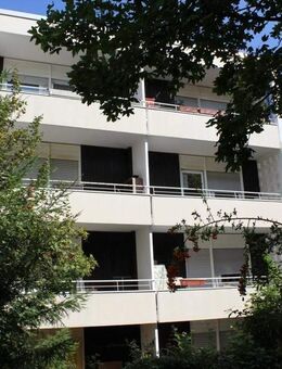 vermietete 1-Zi. Wohnung in Mainz Mombach - Mainz