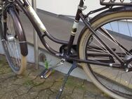 Holand Fahrrad - Bonn