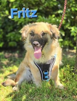 ❤️ Fritz - Kissing