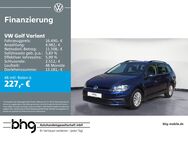 VW Golf Variant, 1.0 TSI OPF Trendline Composition Media Winterpaket Sitzkomfort EPH, Jahr 2019 - Kehl