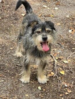 MONI ist ein richtiger Menschenfreund ♥️ - München