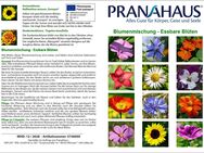 Blumenmischung-Essbare Blüten - Schweigen-Rechtenbach