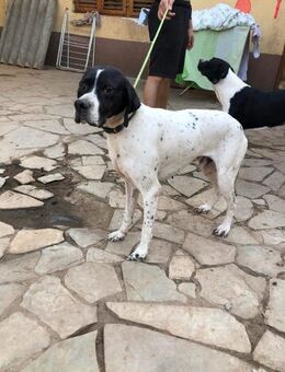 Dario möchte neu durchstarten - Müglitztal