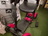 Seniorenroller,klappbar,6Kmh,elektrisch - Halle (Saale)