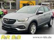 Opel Grandland X, 1.2 Edition Turbo EU6d CARPPLAY, Jahr 2020 - Paderborn