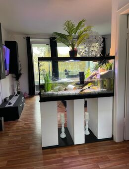 Zwei Wasserschildkröten mit 400L Aquarium - Göttingen
